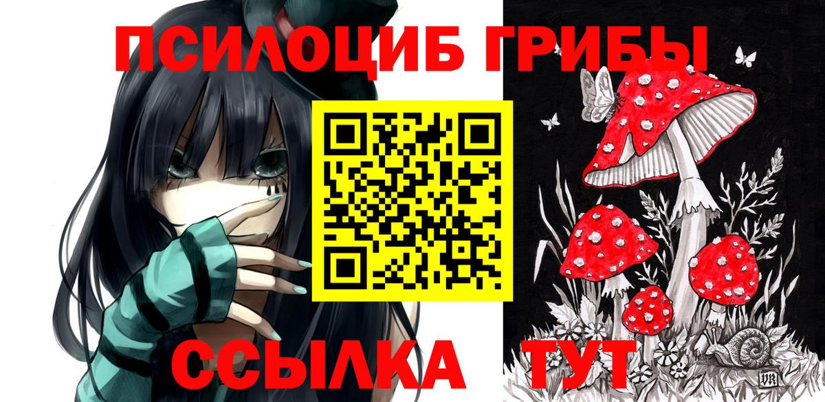 Электросталь  Псилоцибиновые грибы ЛСД  Вход с VPN 