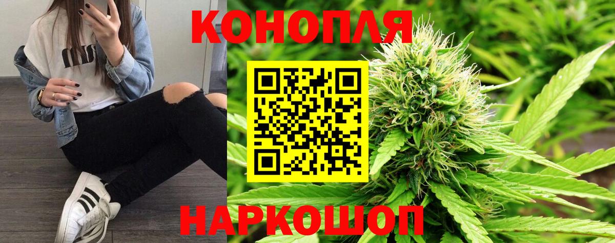 Каннабис план Электросталь